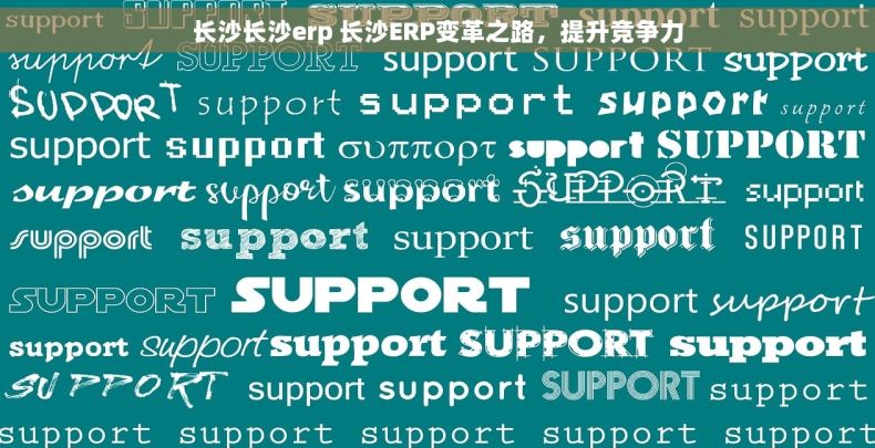 长沙长沙erp 长沙ERP变革之路，提升竞争力