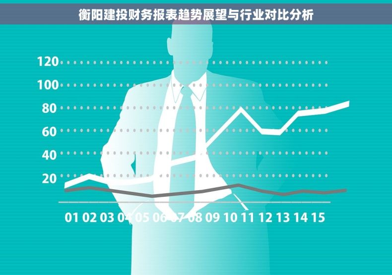 衡阳建投财务报表趋势展望与行业对比分析