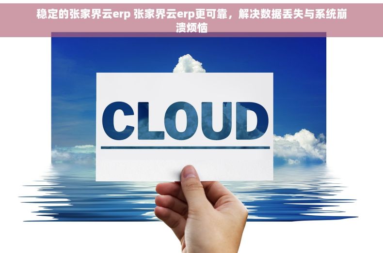 稳定的张家界云erp 张家界云erp更可靠，解决数据丢失与系统崩溃烦恼