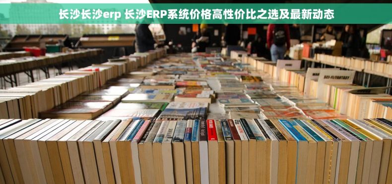 长沙长沙erp 长沙ERP系统价格高性价比之选及最新动态