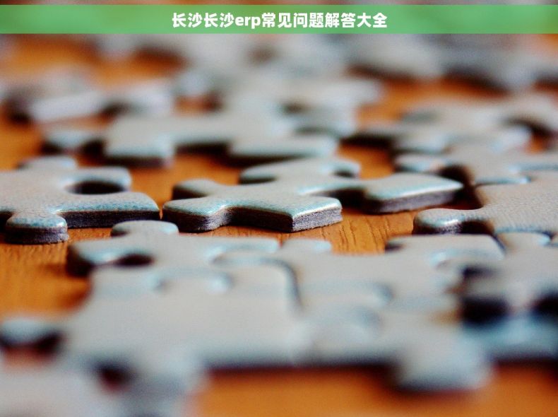 长沙长沙erp常见问题解答大全
