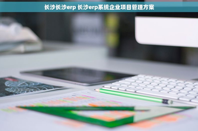 长沙长沙erp 长沙erp系统企业项目管理方案 长沙长沙erp 长沙erp系统企业项目管理方案