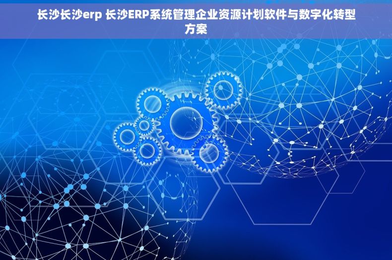 长沙长沙erp 长沙ERP系统管理企业资源计划软件与数字化转型方案 长沙长沙erp 长沙ERP系统管理企业资源计划软件与数字化转型方案