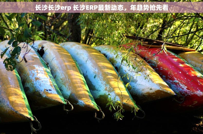 长沙长沙erp 长沙ERP最新动态，年趋势抢先看