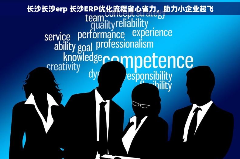 长沙长沙erp 长沙ERP优化流程省心省力,助力小企业起飞 长沙长沙erp 长沙ERP优化流程省心省力,助力小企业起飞