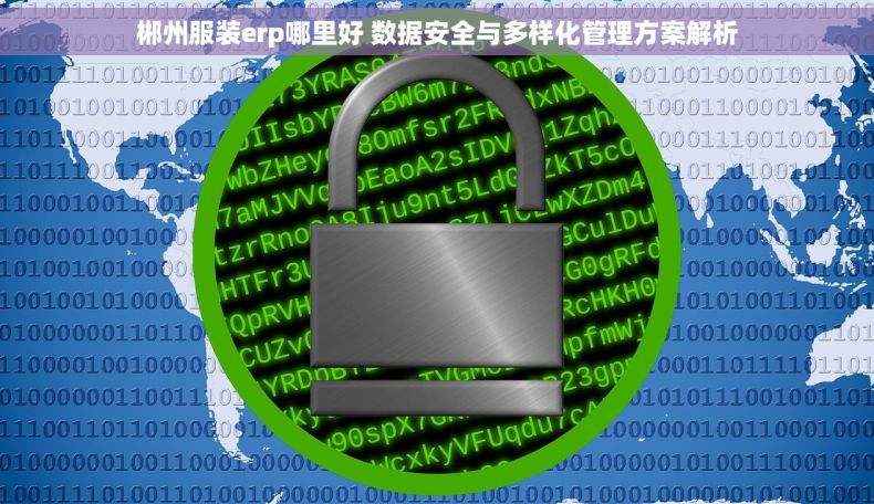 郴州服装erp哪里好 数据安全与多样化管理方案解析 郴州服装erp哪里好 数据安全与多样化管理方案解析