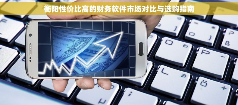 衡阳性价比高的财务软件市场对比与选购指南