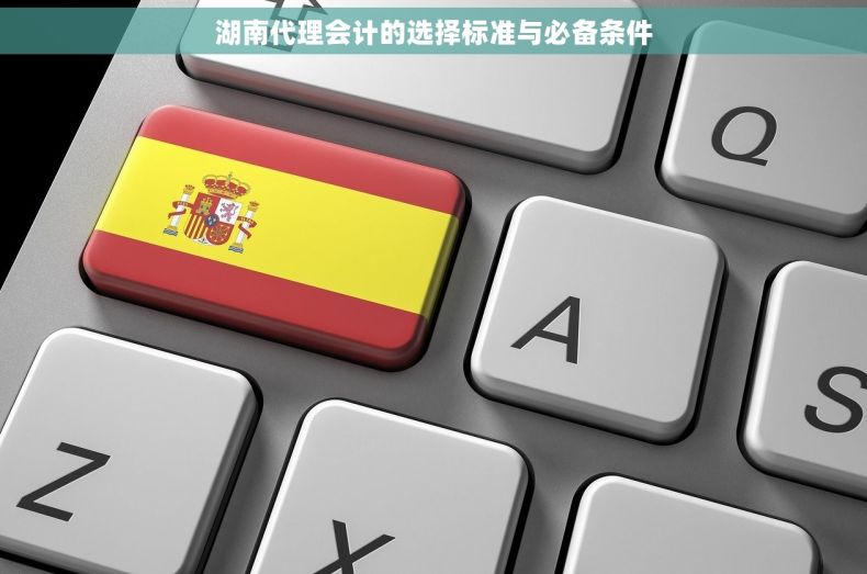 湖南代理会计的选择标准与必备条件 湖南代理会计的选择标准与必备条件