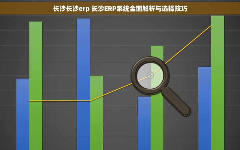 长沙长沙erp 长沙ERP系统全面解析与选择技巧