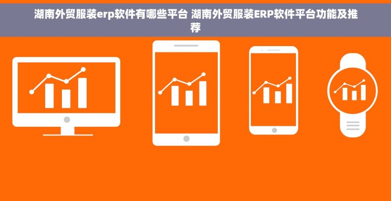 湖南外贸服装erp软件有哪些平台 湖南外贸服装ERP软件平台功能及推荐