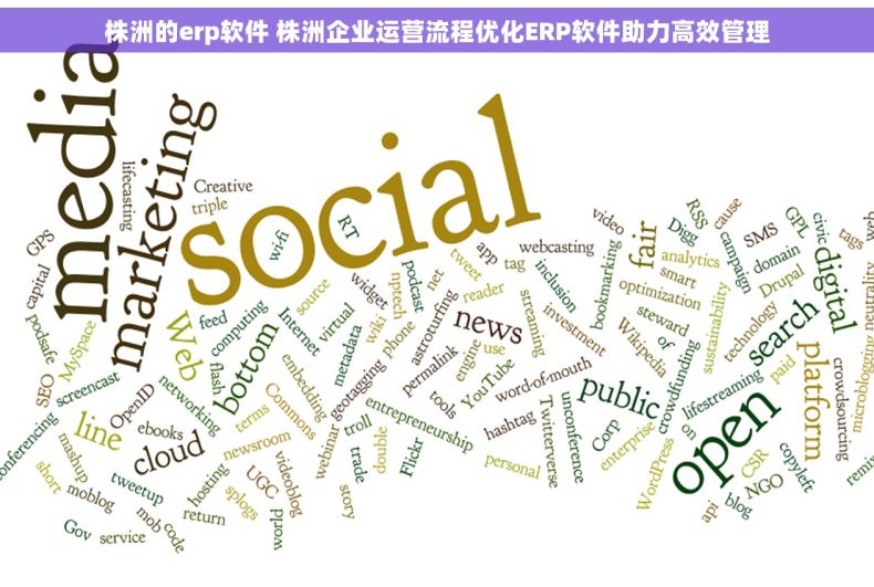 株洲的erp软件 株洲企业运营流程优化ERP软件助力高效管理