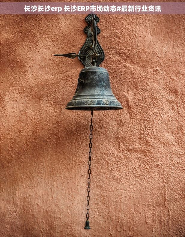 长沙长沙erp 长沙ERP市场动态#最新行业资讯
