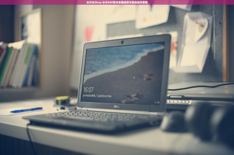 长沙长沙erp 长沙ERP技术发展趋势与系统操作教程