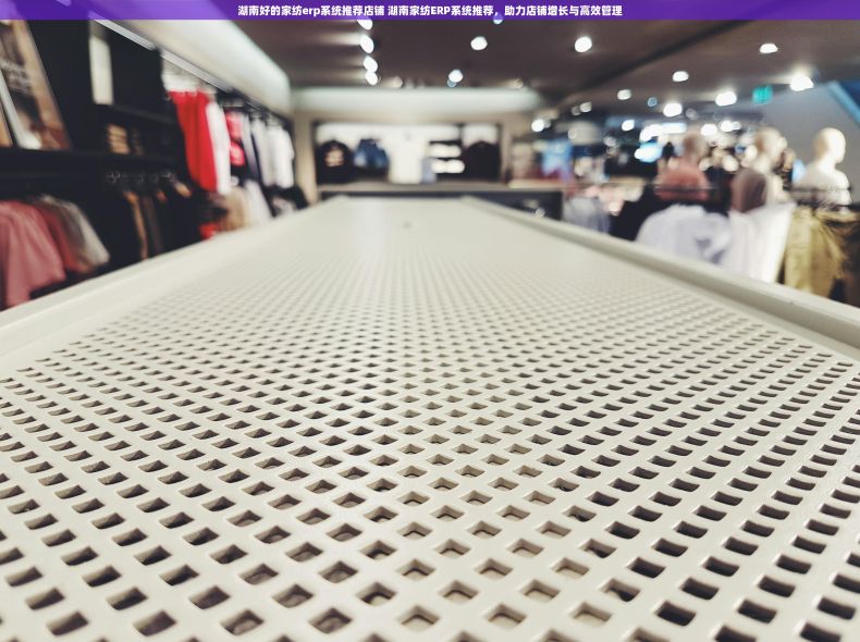 湖南好的家纺erp系统推荐店铺 湖南家纺ERP系统推荐，助力店铺增长与高效管理