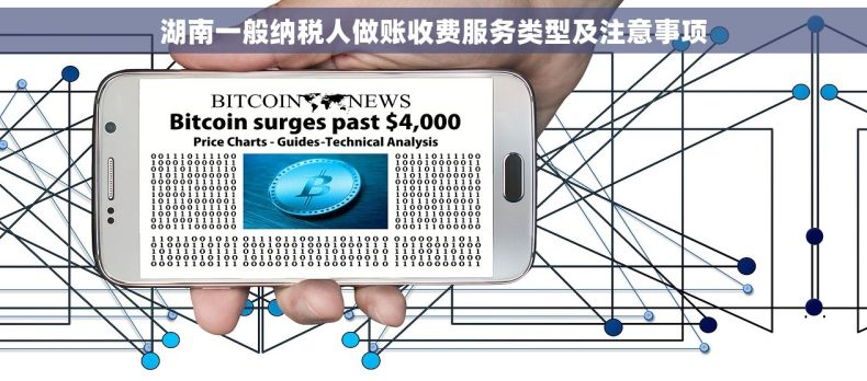 湖南一般纳税人做账收费服务类型及注意事项