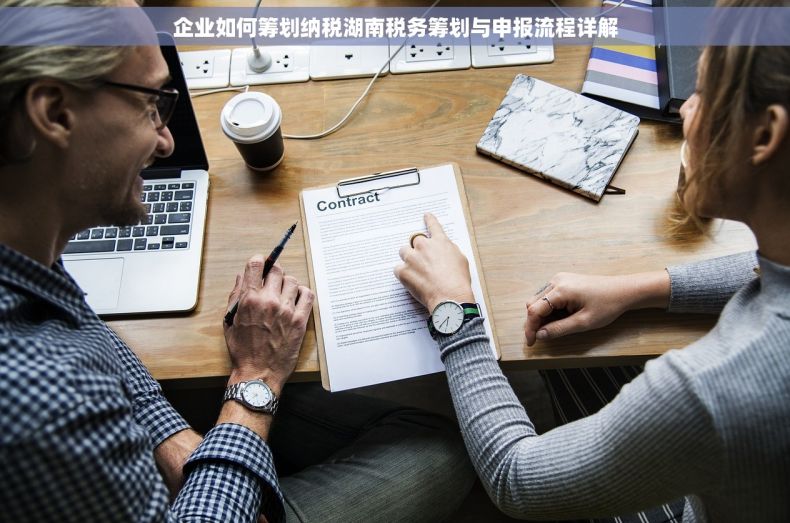 企业如何筹划纳税湖南税务筹划与申报流程详解