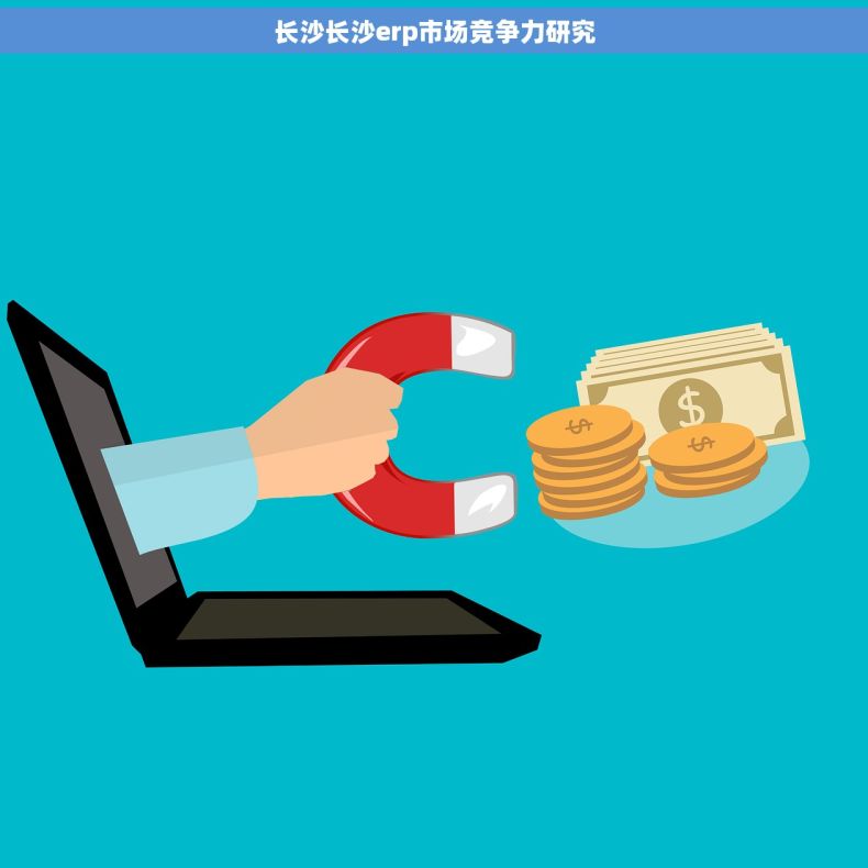 长沙长沙erp市场竞争力研究