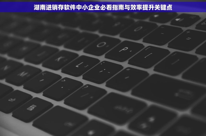 湖南进销存软件中小企业必看指南与效率提升关键点