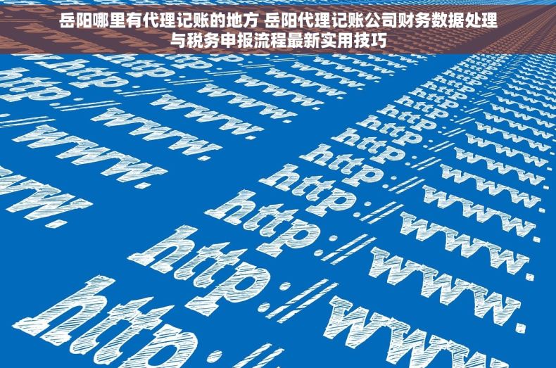 岳阳哪里有代理记账的地方 岳阳代理记账公司财务数据处理与税务申报流程最新实用技巧 岳阳哪里有代理记账的地方 岳阳代理记账公司财务数据处理与税务申报流程最新实用技巧