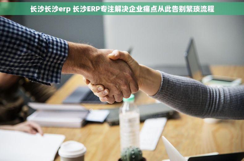 长沙长沙erp 长沙ERP专注解决企业痛点从此告别繁琐流程