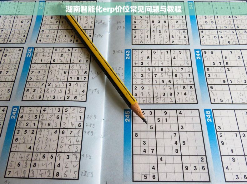 湖南智能化erp价位常见问题与教程