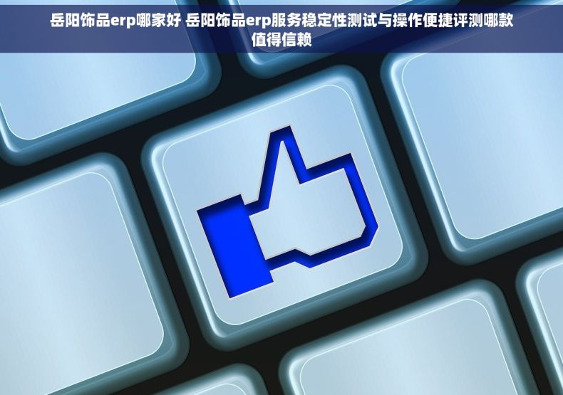 岳阳饰品erp哪家好 岳阳饰品erp服务稳定性测试与操作便捷评测哪款值得信赖