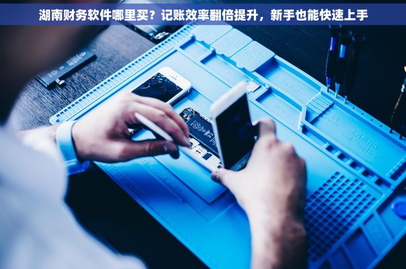湖南财务软件哪里买？记账效率翻倍提升，新手也能快速上手