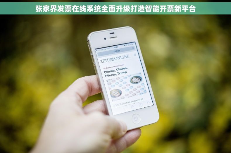 张家界发票在线系统全面升级打造智能开票新平台