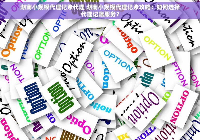 湖南小规模代理记账代理 湖南小规模代理记账攻略：如何选择代理记账服务？
