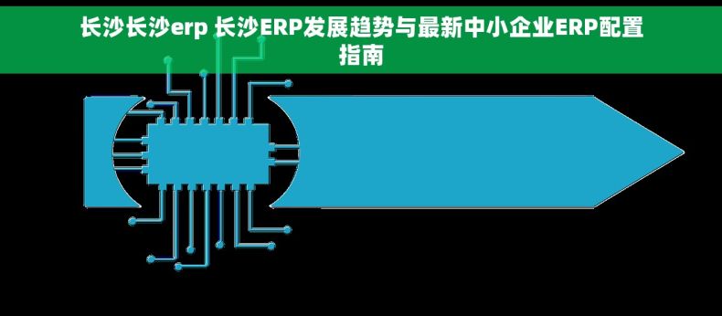 长沙长沙erp 长沙ERP发展趋势与最新中小企业ERP配置指南