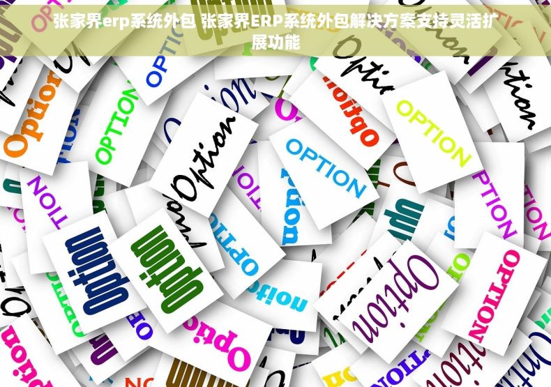 张家界erp系统外包 张家界ERP系统外包解决方案支持灵活扩展功能