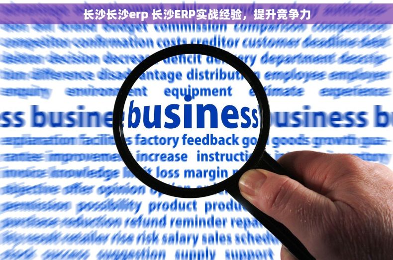长沙长沙erp 长沙ERP实战经验,提升竞争力 长沙长沙erp 长沙ERP实战经验,提升竞争力