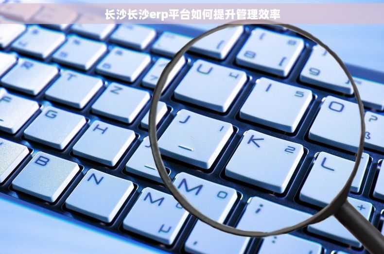 长沙长沙erp平台如何提升管理效率