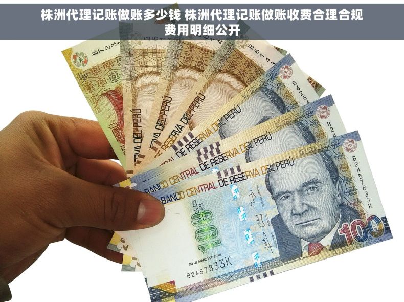 株洲代理记账做账多少钱 株洲代理记账做账收费合理合规费用明细公开