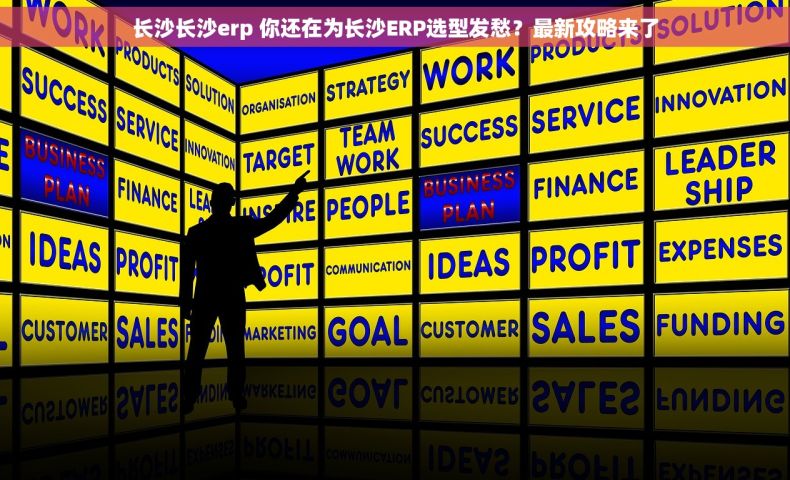 长沙长沙erp 你还在为长沙ERP选型发愁？最新攻略来了