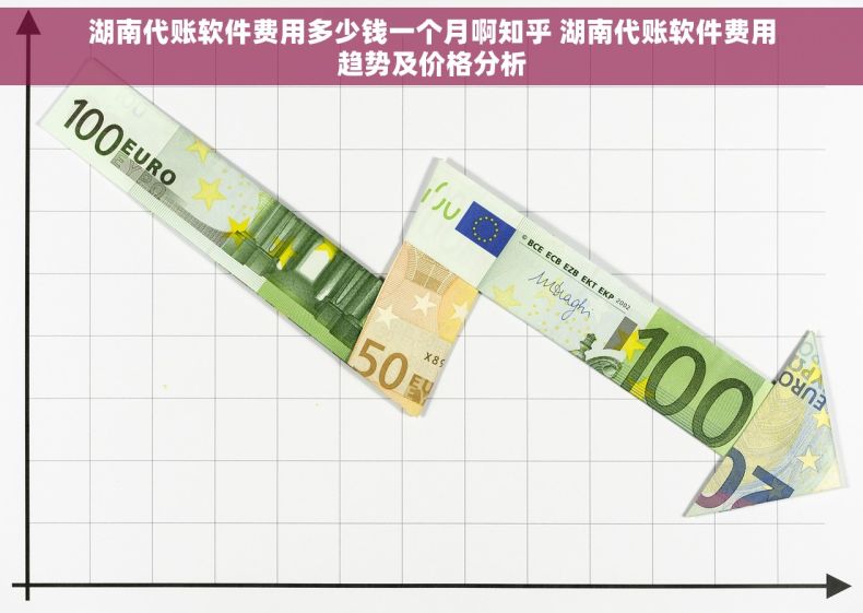 湖南代账软件费用多少钱一个月啊知乎 湖南代账软件费用趋势及价格分析