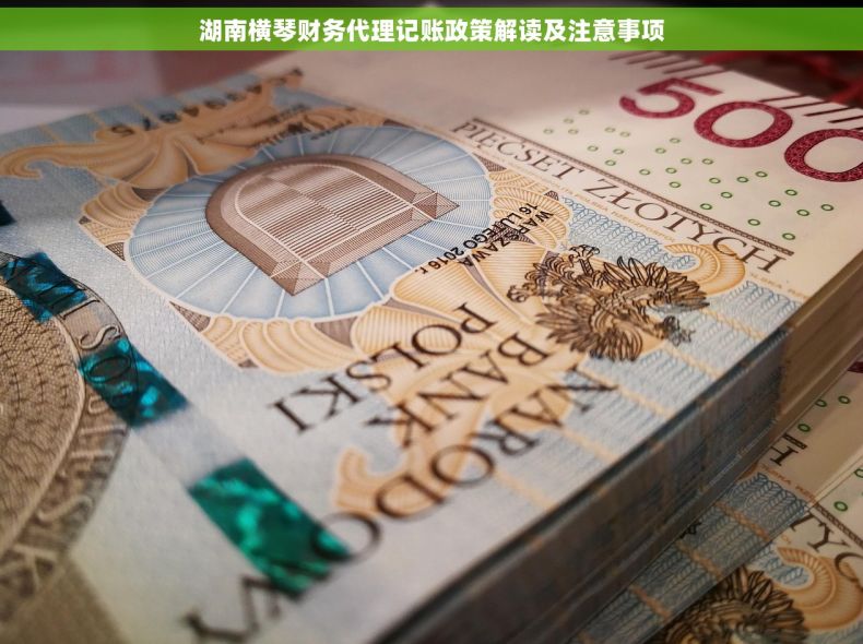 湖南横琴财务代理记账政策解读及注意事项