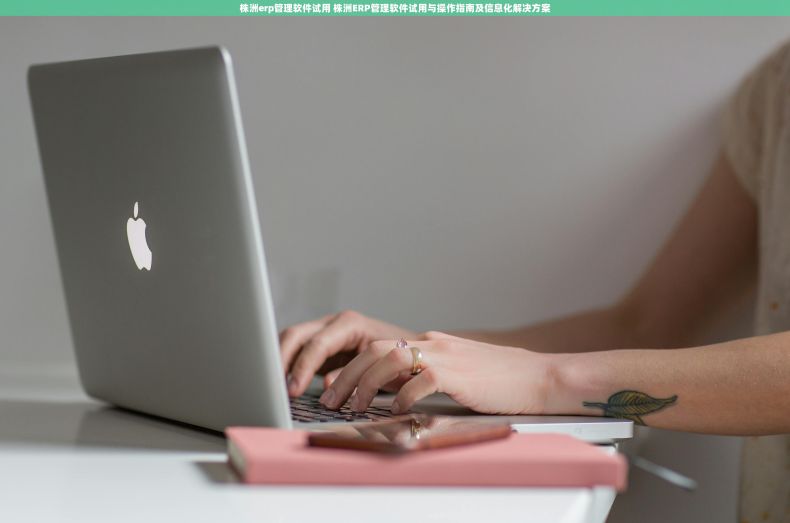 株洲erp管理软件试用 株洲ERP管理软件试用与操作指南及信息化解决方案