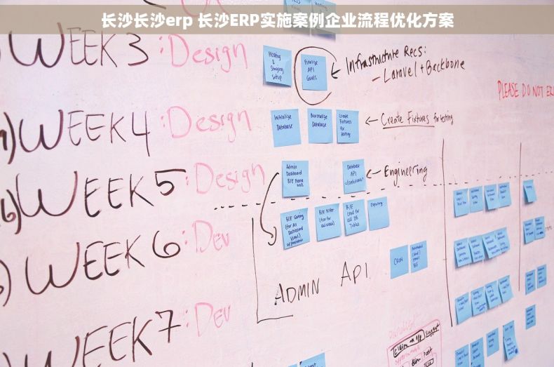 长沙长沙erp 长沙ERP实施案例企业流程优化方案
