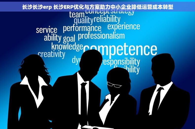 长沙长沙erp 长沙ERP优化与方案助力中小企业降低运营成本转型