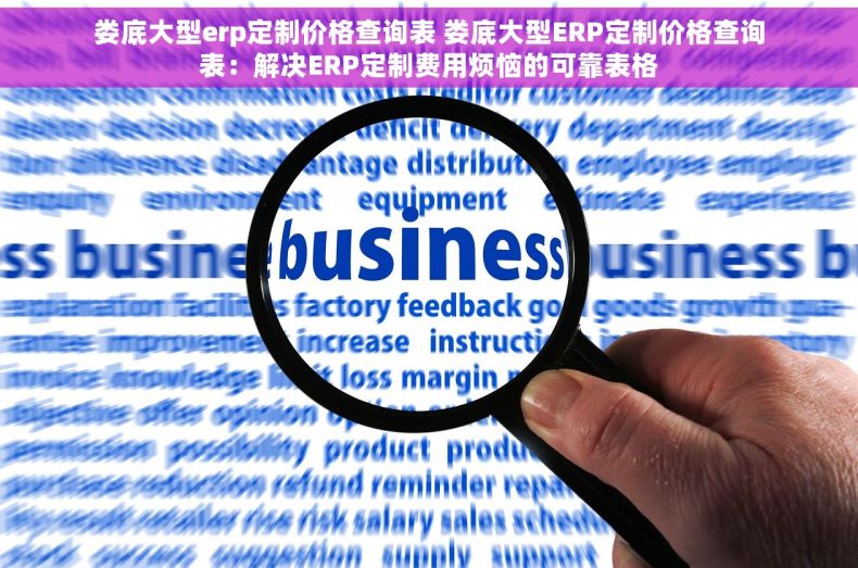 娄底大型erp定制价格查询表 娄底大型ERP定制价格查询表：解决ERP定制费用烦恼的可靠表格
