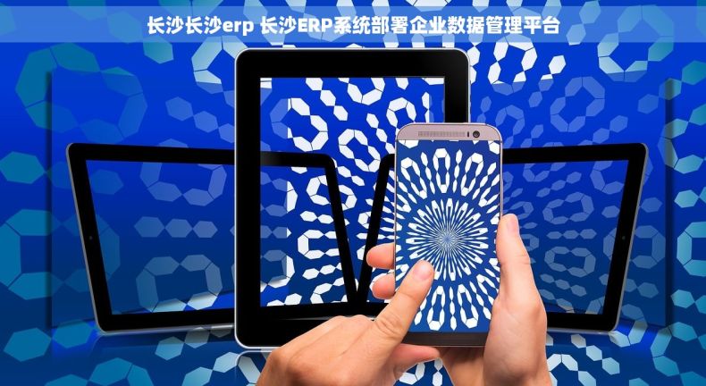 长沙长沙erp 长沙ERP系统部署企业数据管理平台