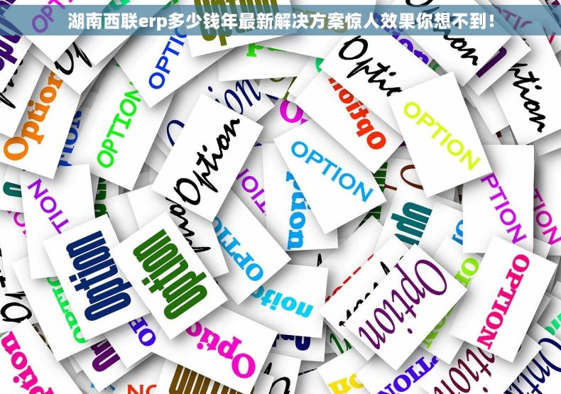 湖南西联erp多少钱年最新解决方案惊人效果你想不到！