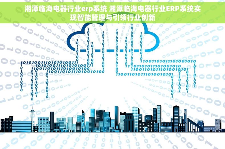 湘潭临海电器行业erp系统 湘潭临海电器行业ERP系统实现智能管理与引领行业创新
