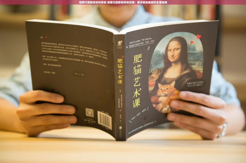 湖南代理做账如何报税 湖南代理做账报税攻略：解决报税难题的全面指南