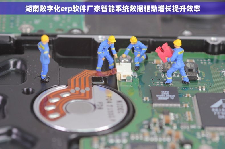 湖南数字化erp软件厂家智能系统数据驱动增长提升效率