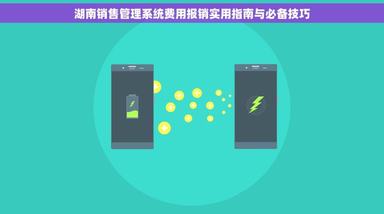 湖南销售管理系统费用报销实用指南与必备技巧 湖南销售管理系统费用报销实用指南与必备技巧