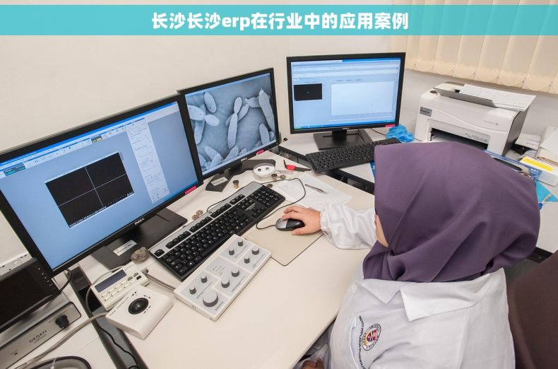 长沙长沙erp在行业中的应用案例