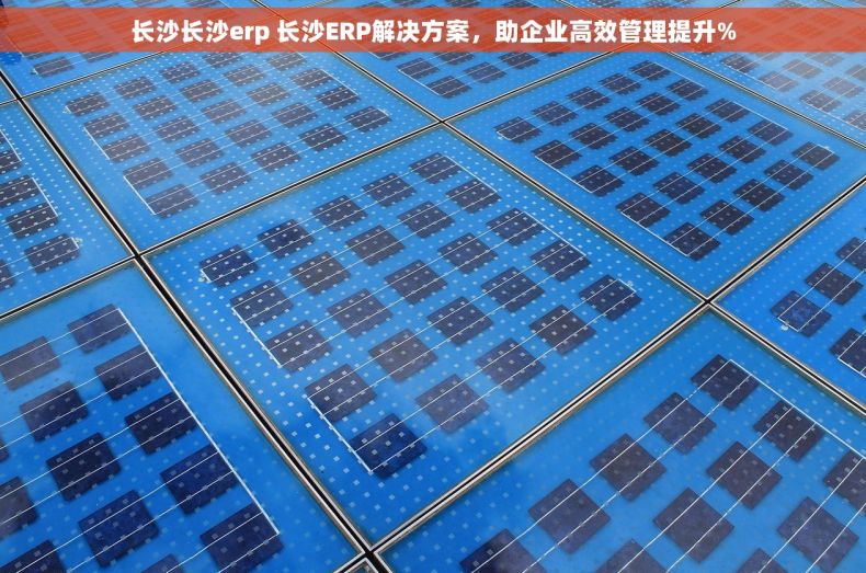长沙长沙erp 长沙ERP解决方案，助企业高效管理提升%