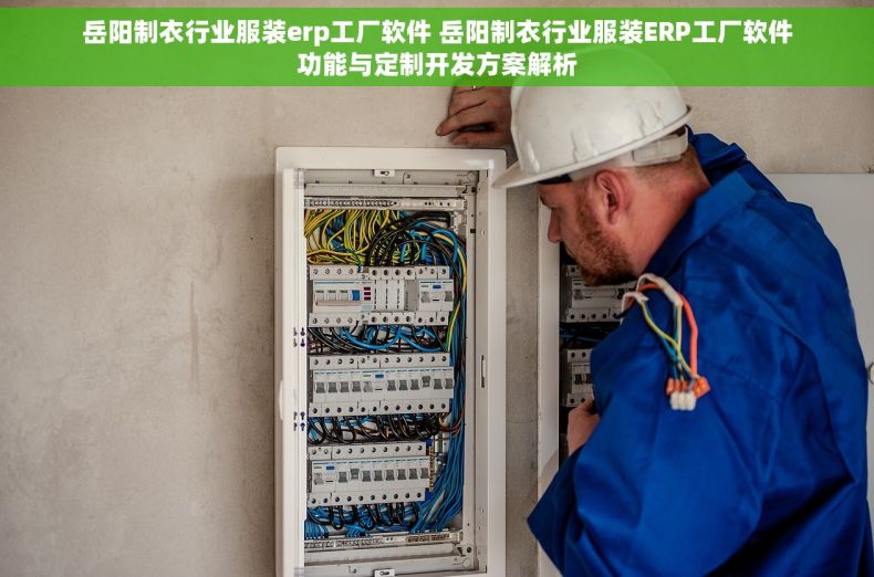 岳阳制衣行业服装erp工厂软件 岳阳制衣行业服装ERP工厂软件功能与定制开发方案解析